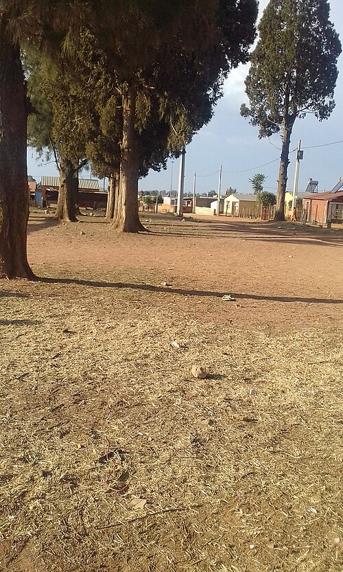 南アフリカ・ハウテン州ナイジェルの干ばつで枯れた草地