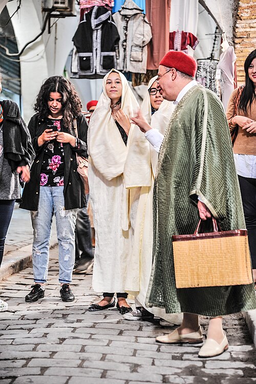 TtTƃVV[gɂ`jWA̓`ߑ