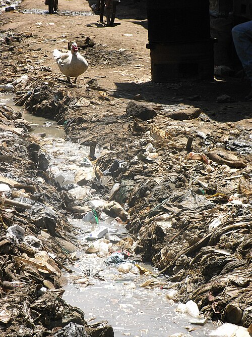 ナイロビ・キベラのインフォーマル居住地区の俯瞰