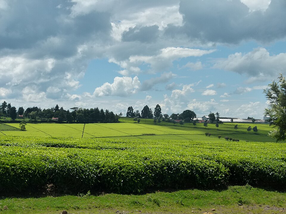 PjAEP`̍LȒve[V̐ƍƘH