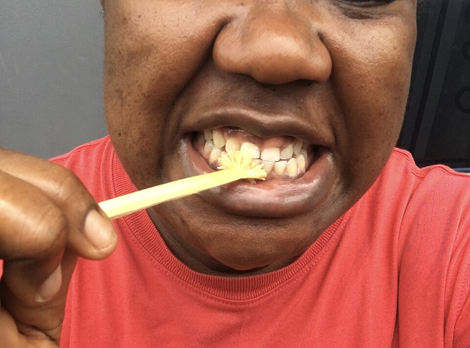 ~XNi؁jŎ𖁂jiiCWFAj