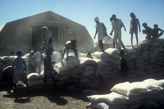 HƔzzɏW܂lXi1984NAG`IsAj