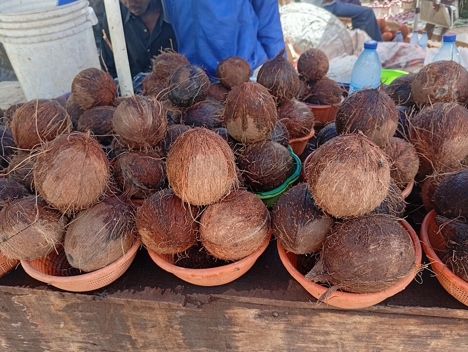 RRibc̎iiCWFAEJhDiBj