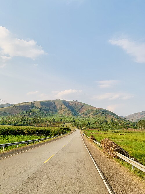ヴィクトリア湖の湖岸(ウガンダ)