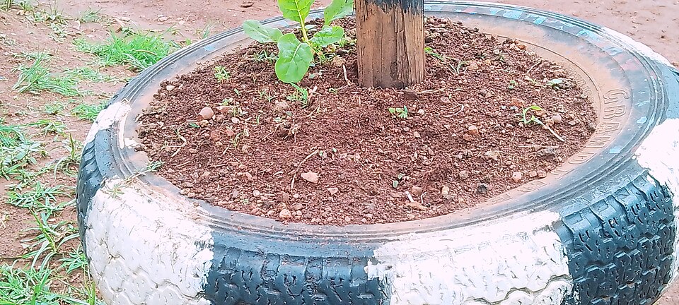 ^Cgss_Ƃ̍؉iEK_EJpj