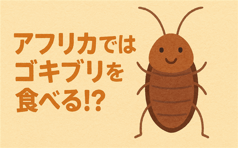 「アフリカではゴキブリを食べる」は誤解