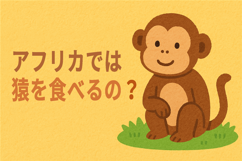 アフリカでは猿を食べるって本当?