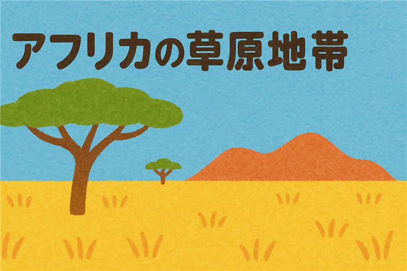 アフリカの草原地帯はどこにあるの?サバンナとの違いも解説!